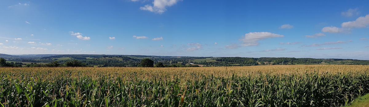 Weites Tal der Geul mit Wiesen und Hügeln bei Gulpen