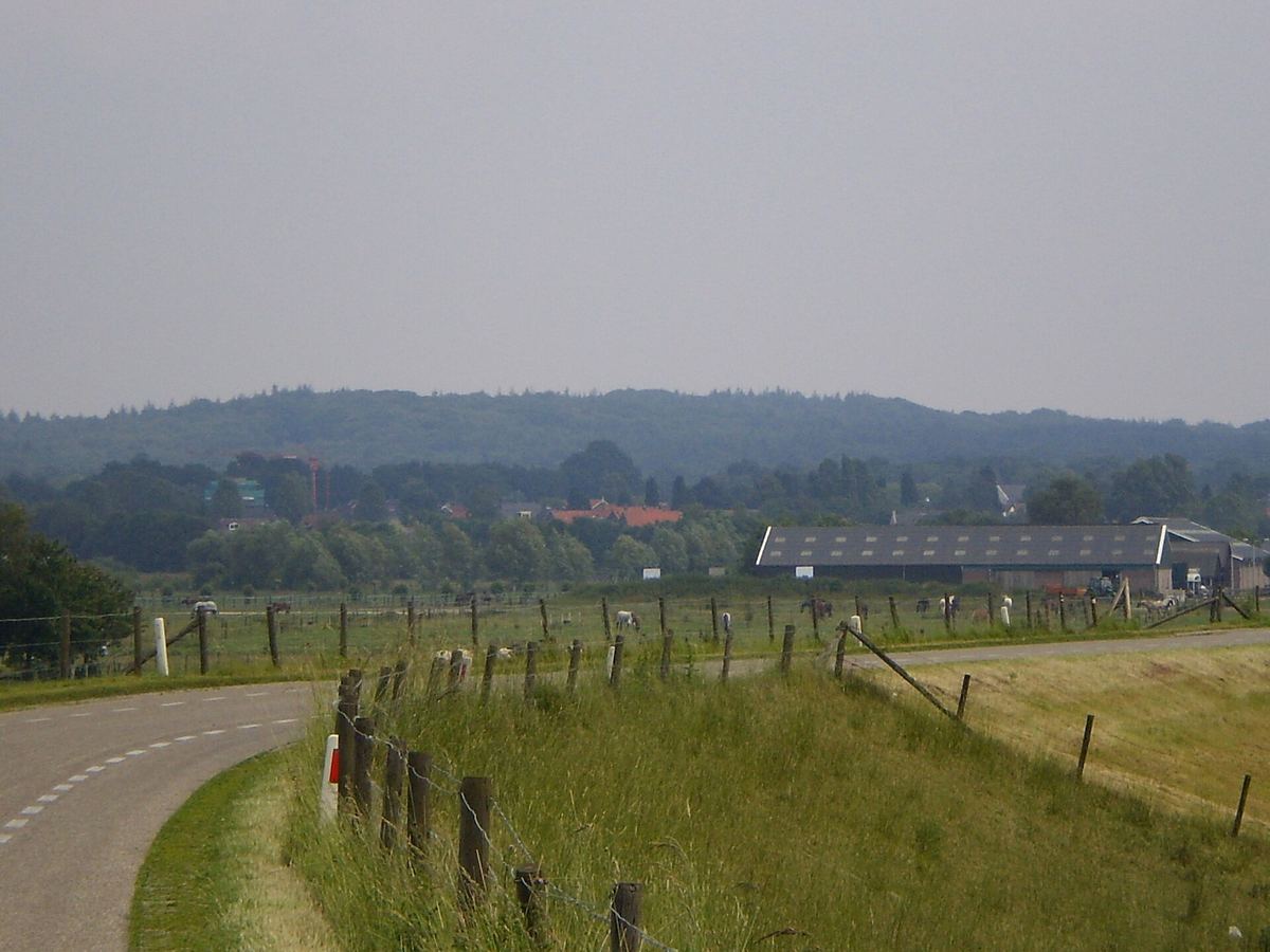 Bewaldeter Höhenzug der Utrechtse Heuvelrug bei Amerongen